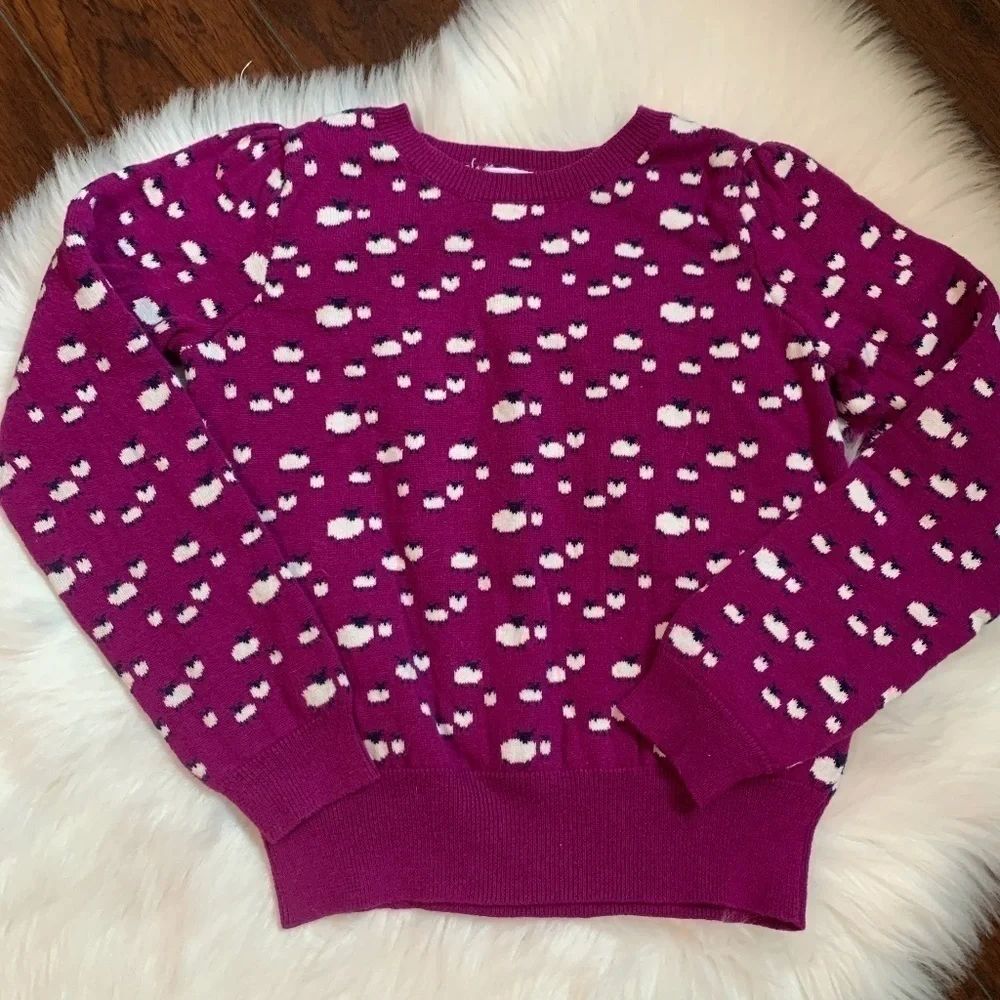 Gymboree Sweater & Crewcuts Long Sleeve